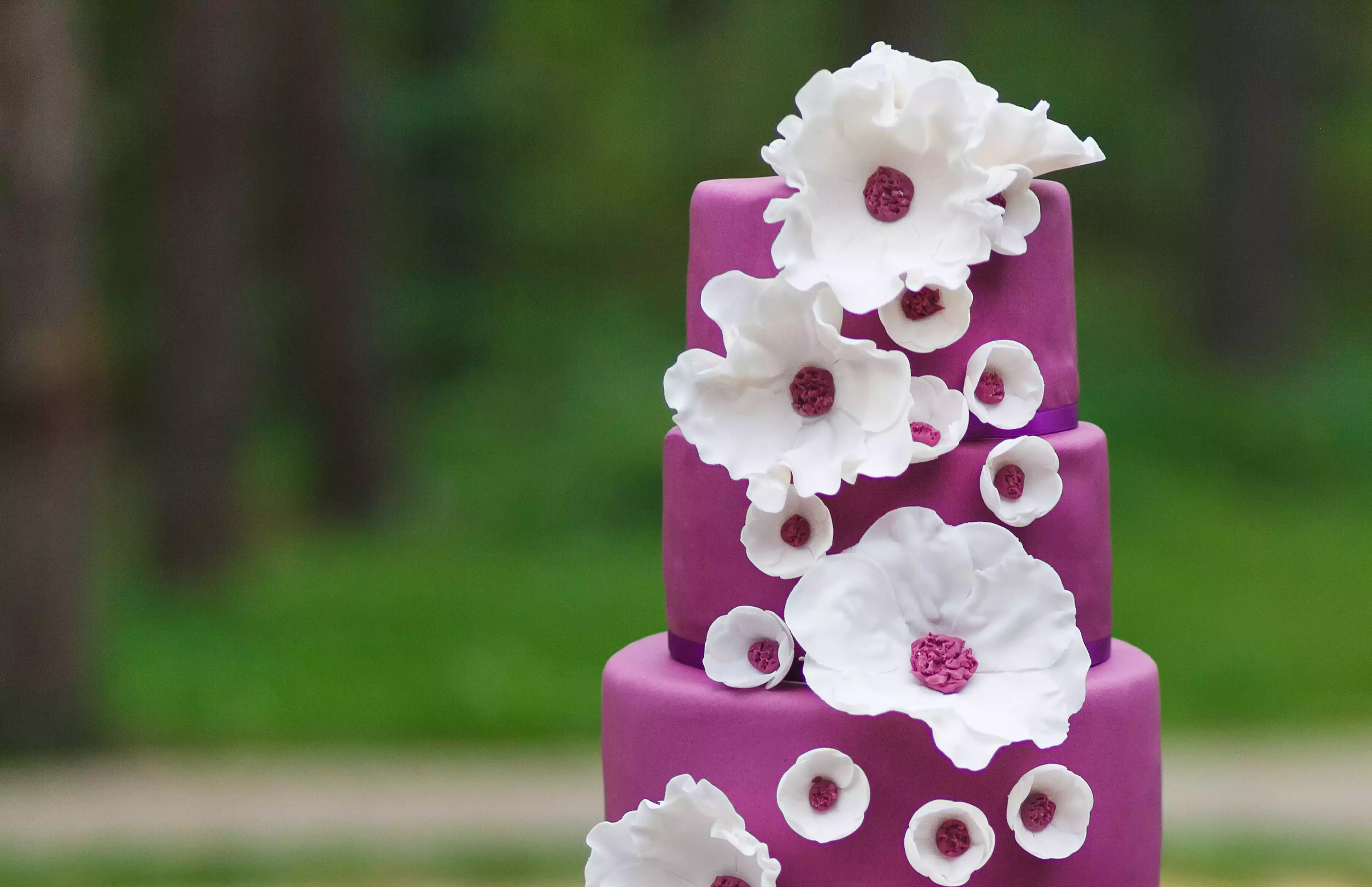 Pâte à sucre / Fondant